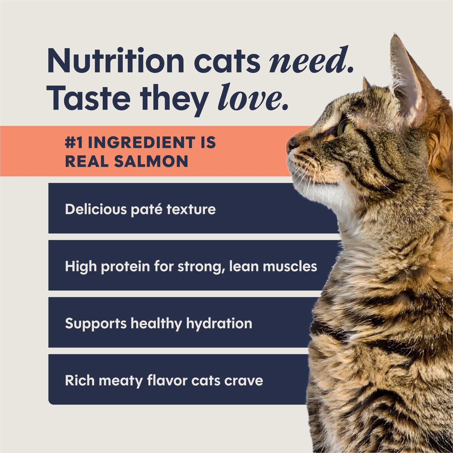 Instinct Pate Grain-Free Wet Cat Food, Real Salmon Entr&eacute;e, 2.64-Oz Split Cup