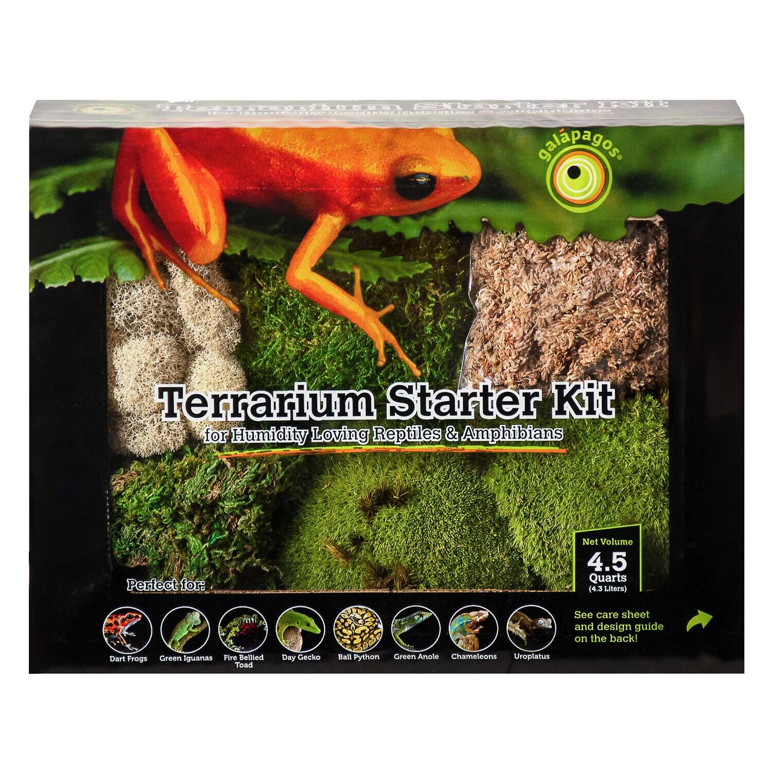Gal&aacute;pagos Terrarium Starter Kit, Humid Environment, 4.5Qt Box
