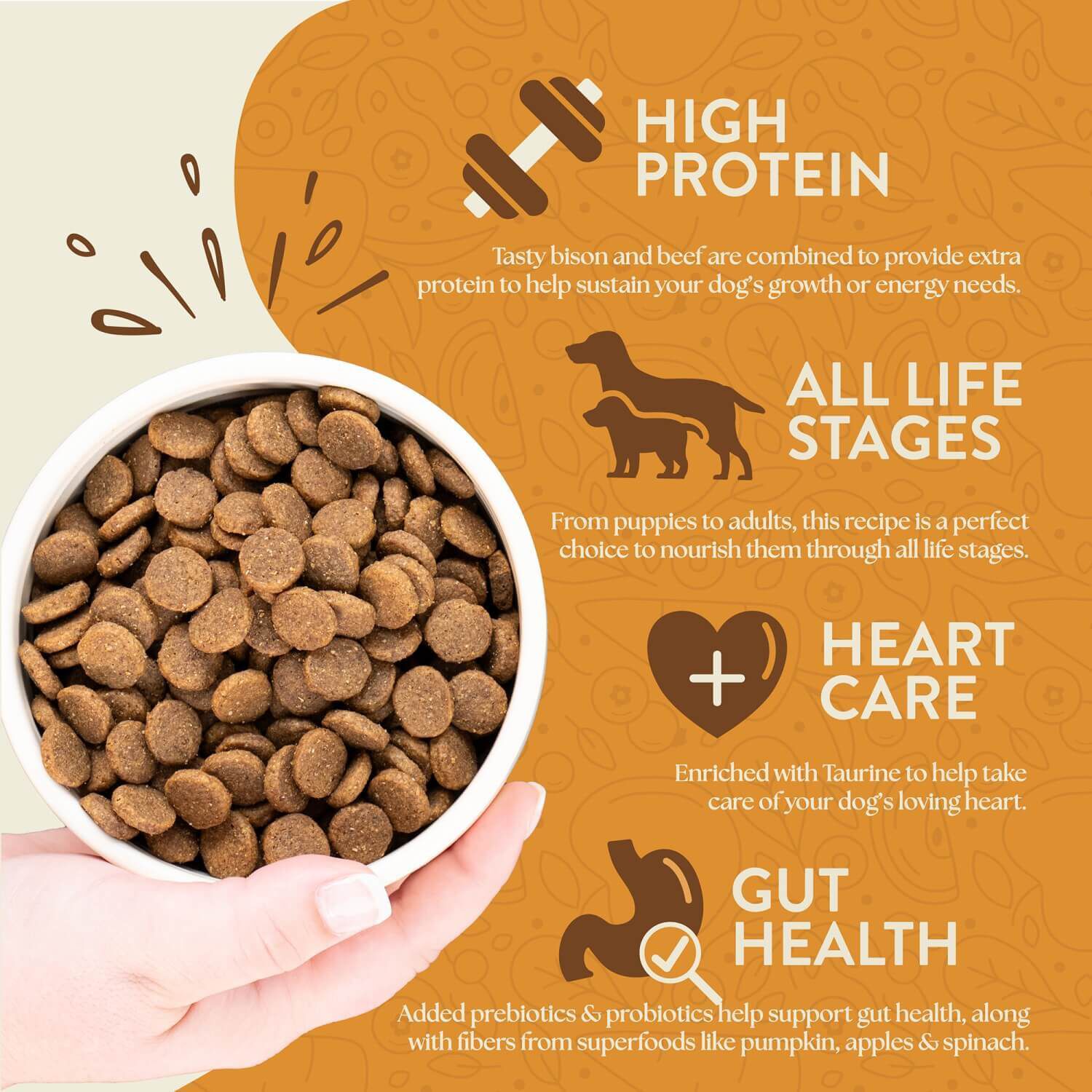 Earthborn Holistic Great Plains Feast Grain-Free Dry Dog Food Bison Meal & Vegetables 25-Lb Bag