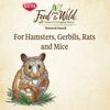 Food From The Wild Natural Snack Small Animal Treat