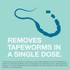 Tapeworm Dewormer For Cats thumbnail number 5