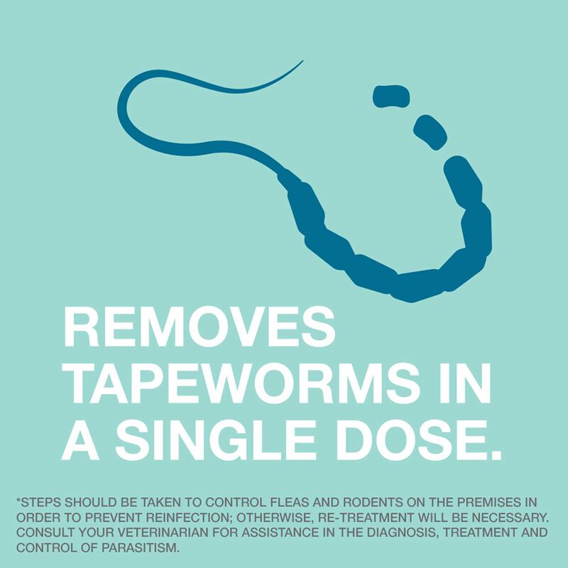 Tapeworm Dewormer For Cats image number 5