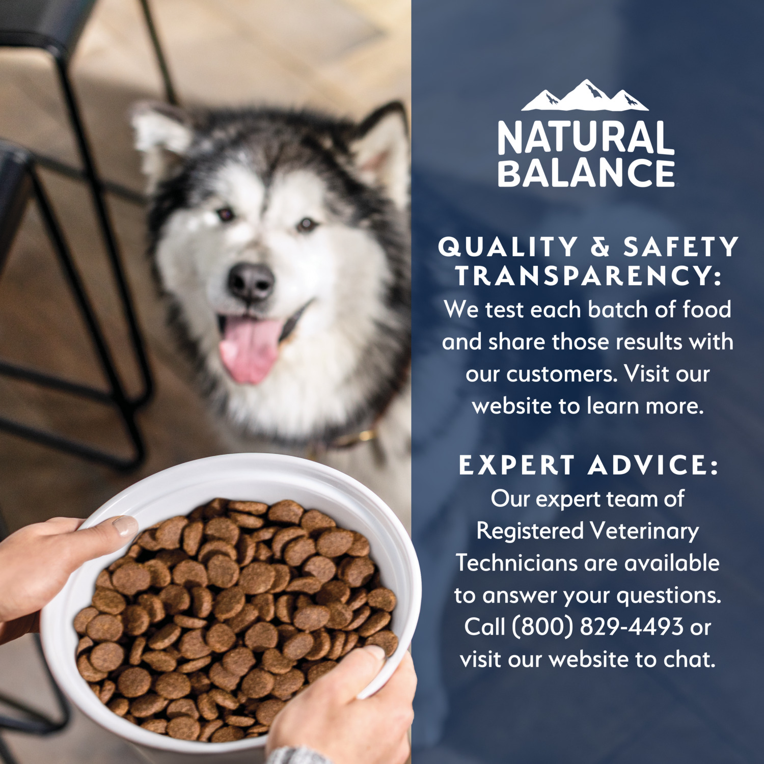 Natural Balance Health Protection Large Breed Dry Dog Food, Salmon & Rice Recipe, 26-Lb Bag