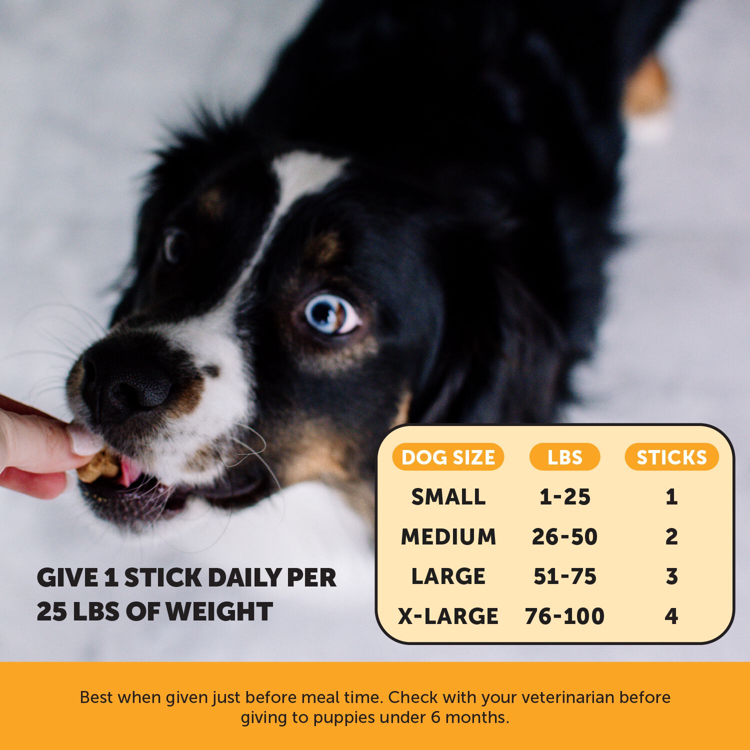 Pet Honesty Allergy Support Fresh Dental Sticks Dog Chews, Peanut Butter & Pumpkin Flavor, 30-Sticks