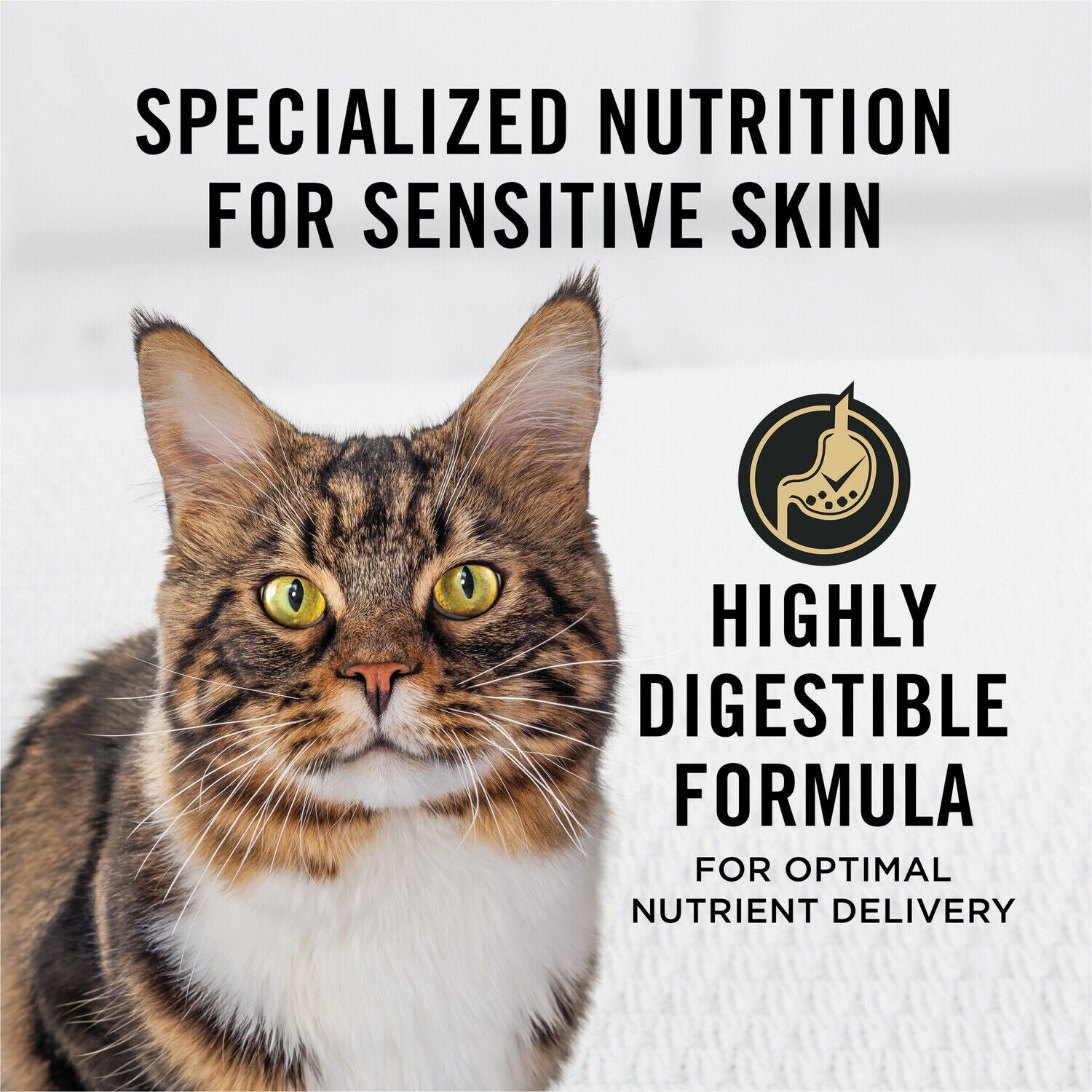 Purina Pro Plan Sensitive Skin And Stomach Dry Cat Food, Lamb And Rice Formula, 7-Lb Bag