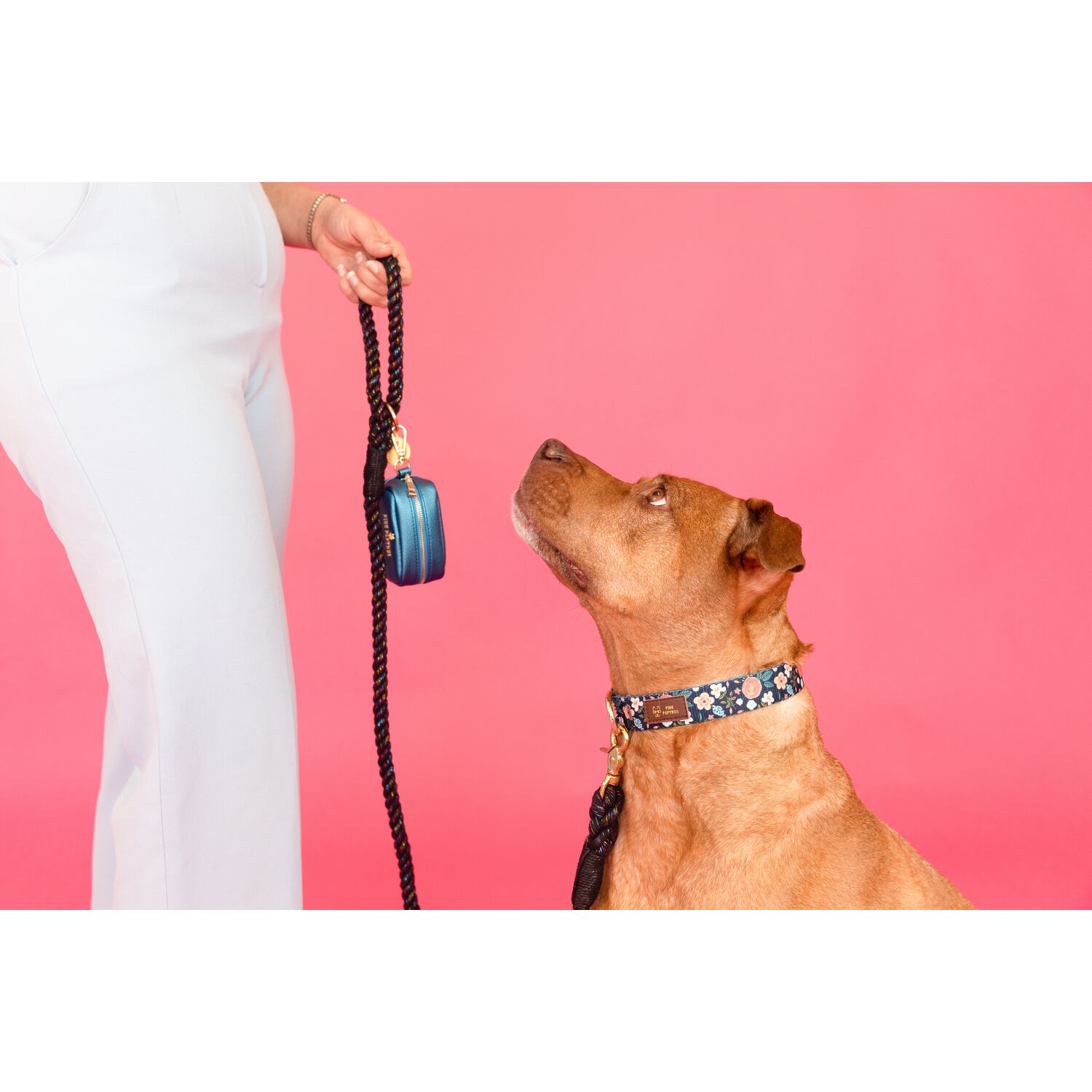 Pink Papyrus Hudson Dog Poop Bag Holder & Treat Pouch Leash Accessory, Blue