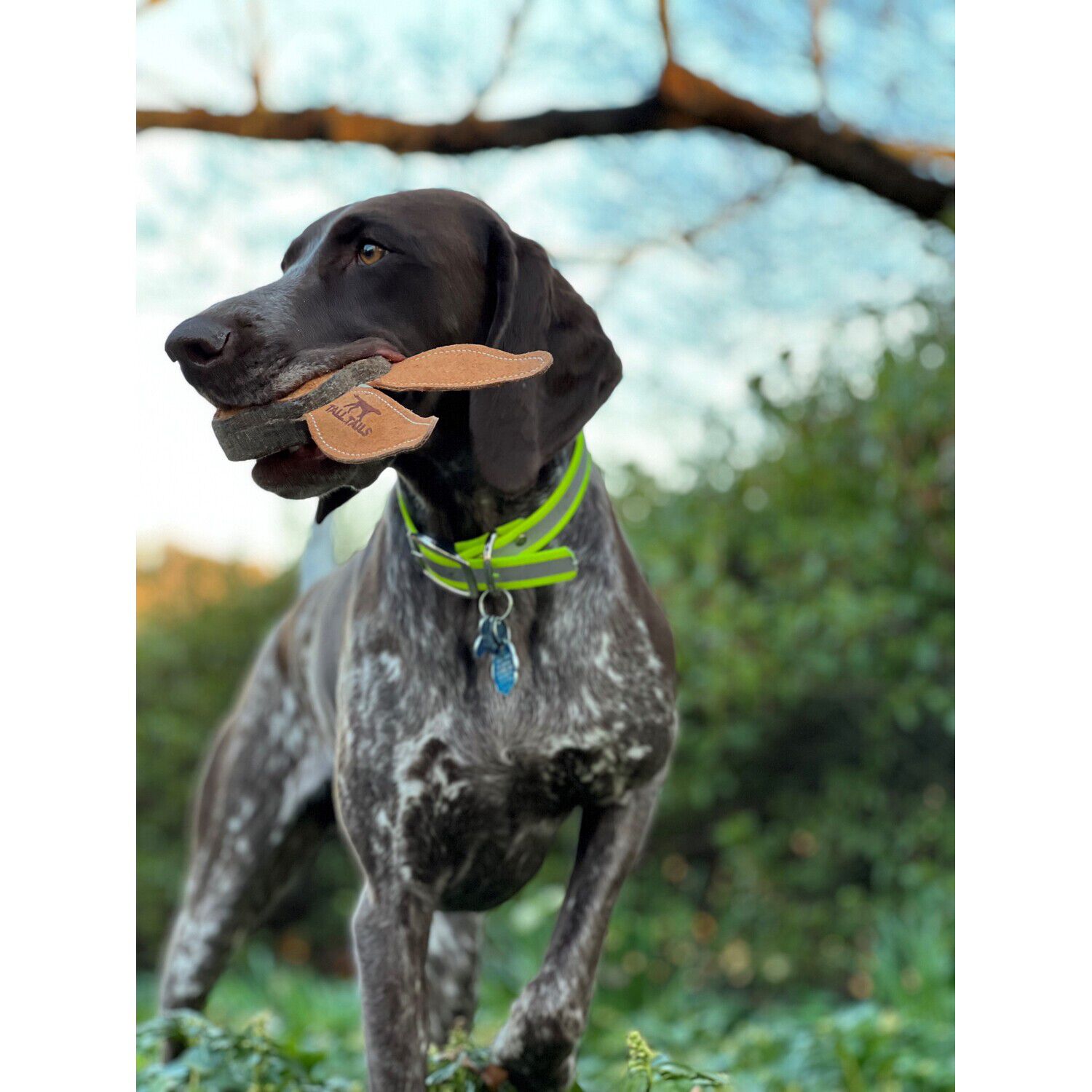 Tall Tails Scrappy Rabbit Durable Leather Dog Toy, 4"