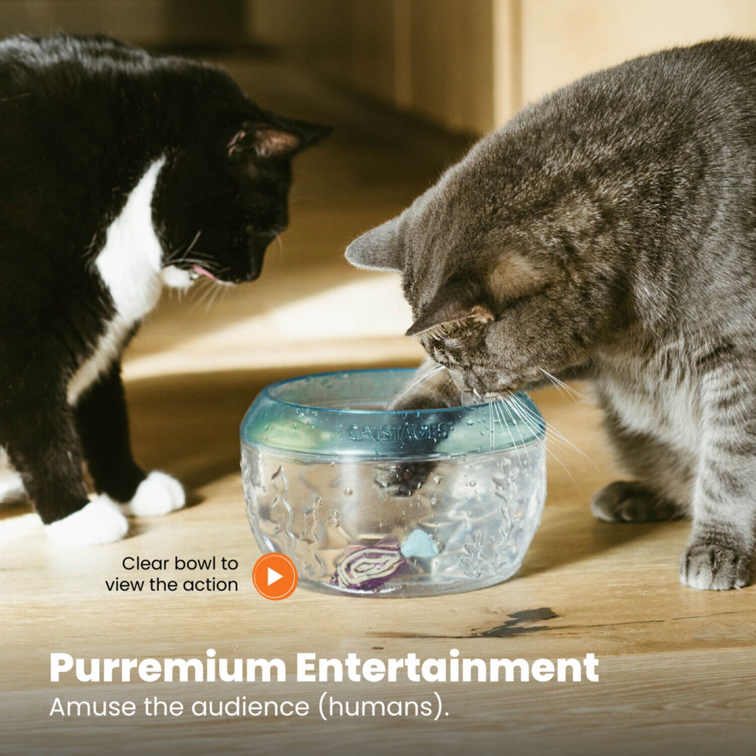 Catstages Meow-Smerizing Fun Fish Bowl Interactive Cat Toy
