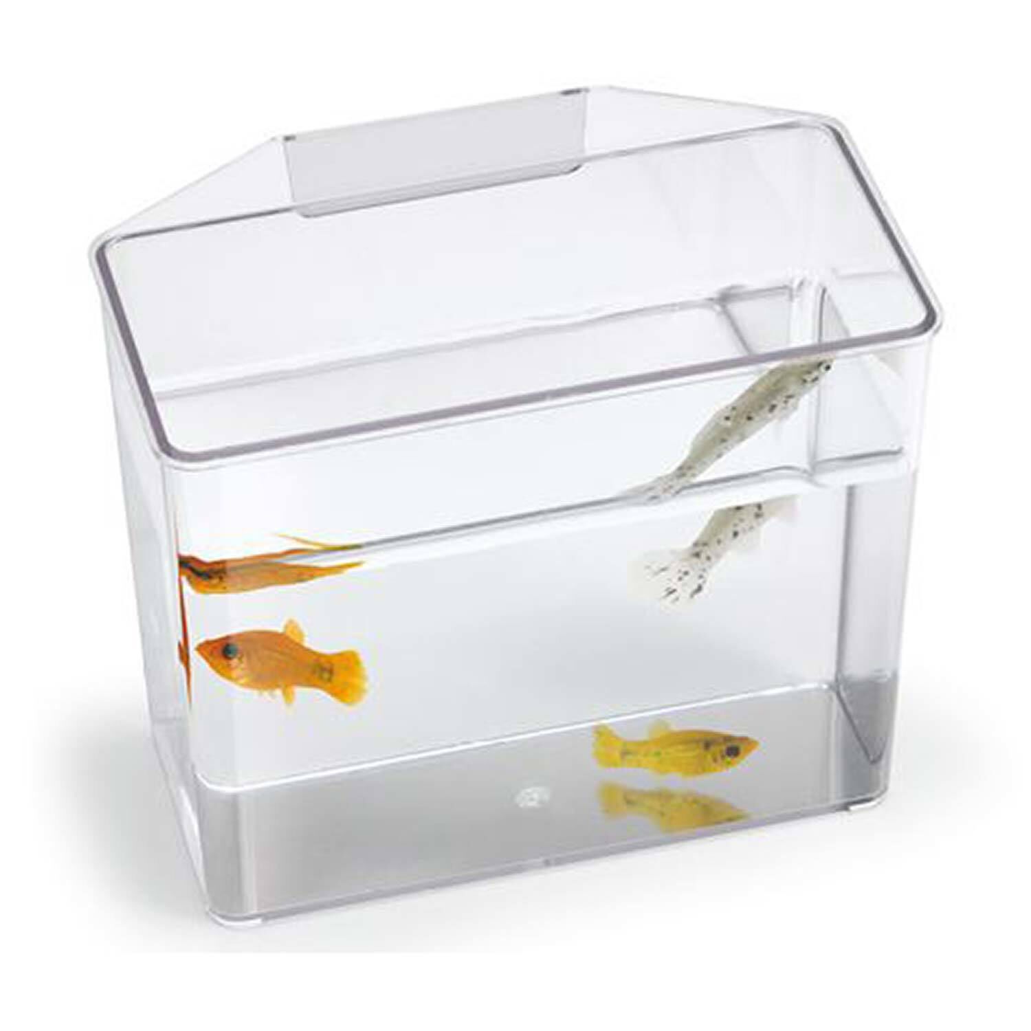 Large "Break Resistant" Specimen Container For Fish