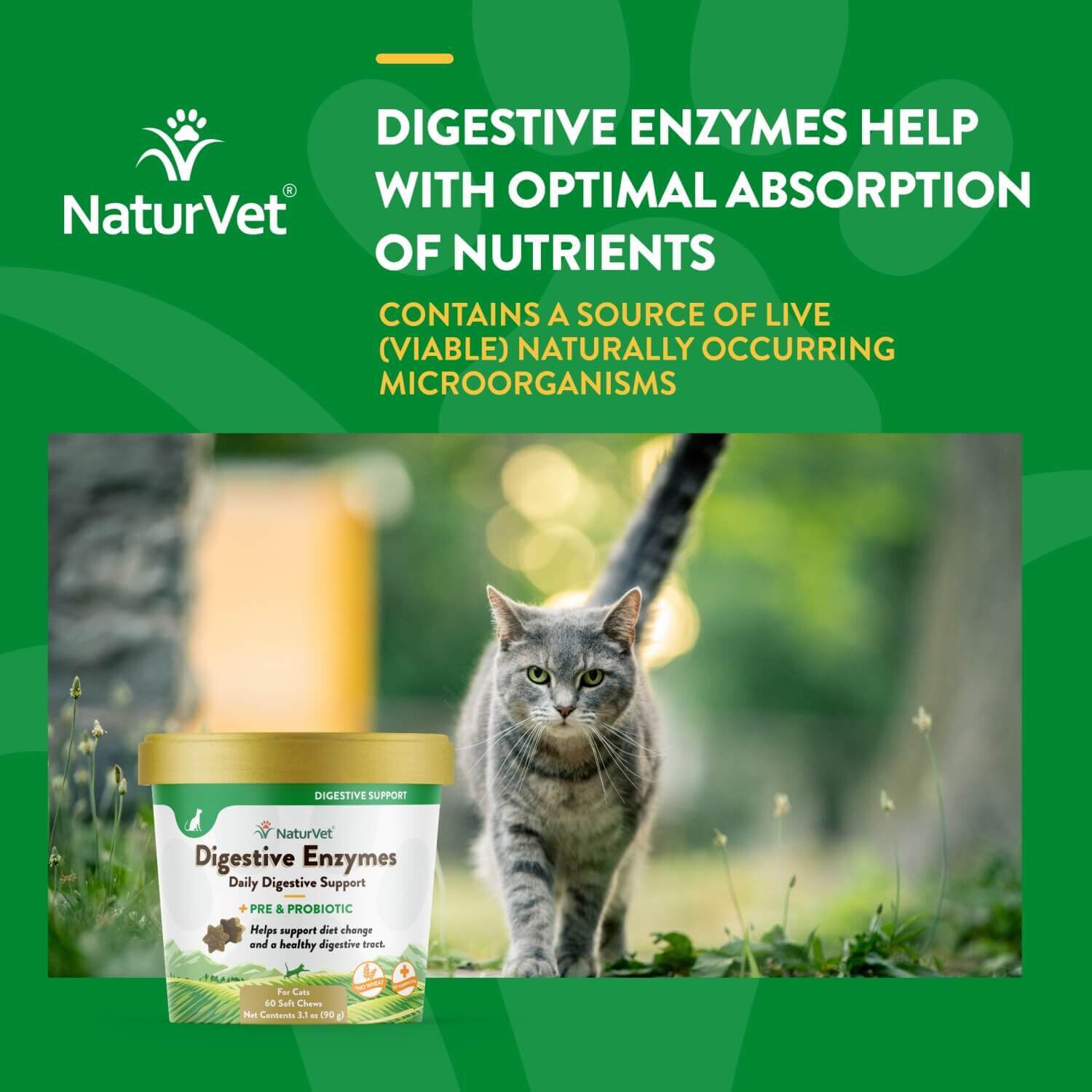 Naturvet Digestive Enzymes Pre+Probiotic Daily Soft Chew Supplement For Cats