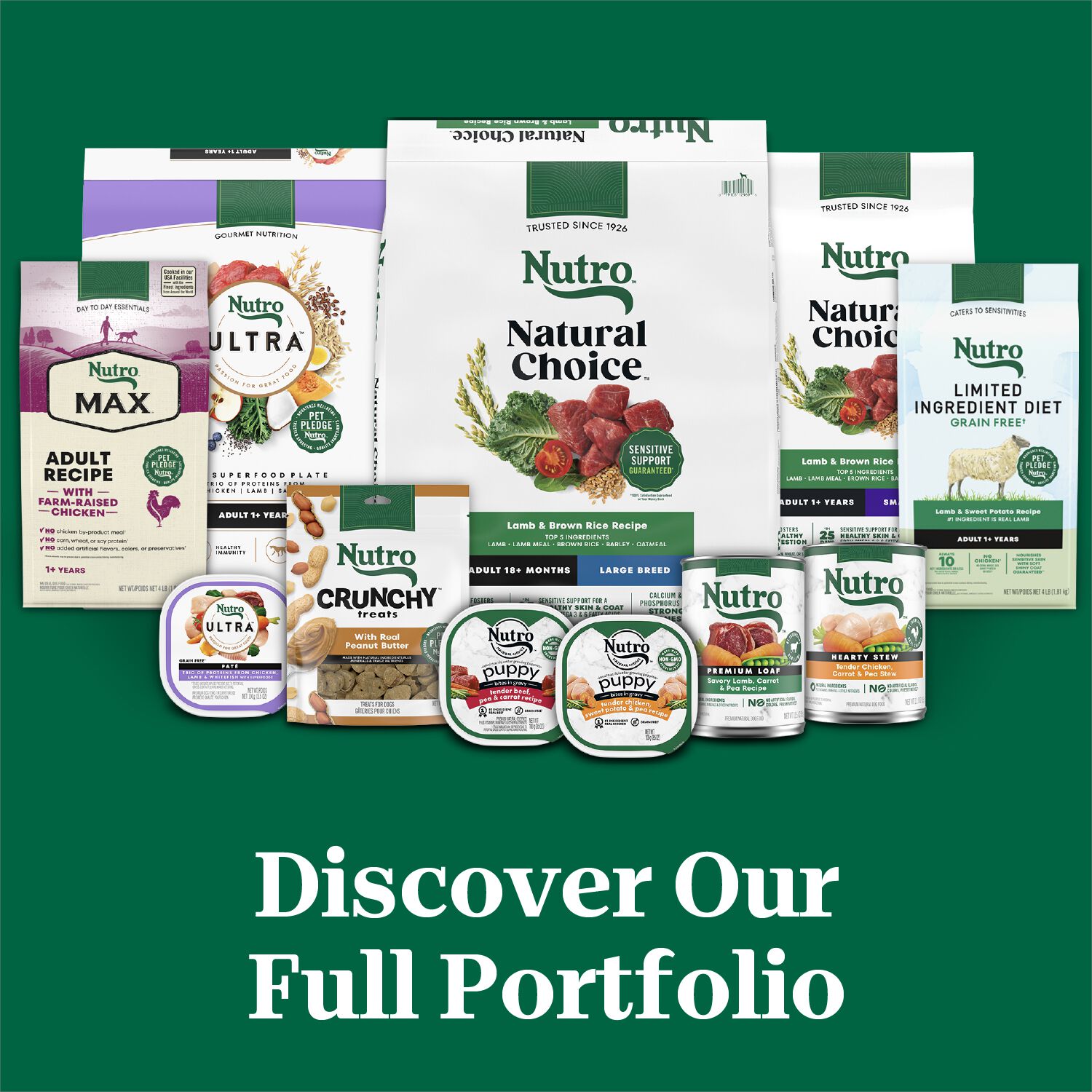 Nutro Natural Choice Adult Large Breed Lamb & Brown Rice Recipe Dry Dog Food, 30-Lb Bag