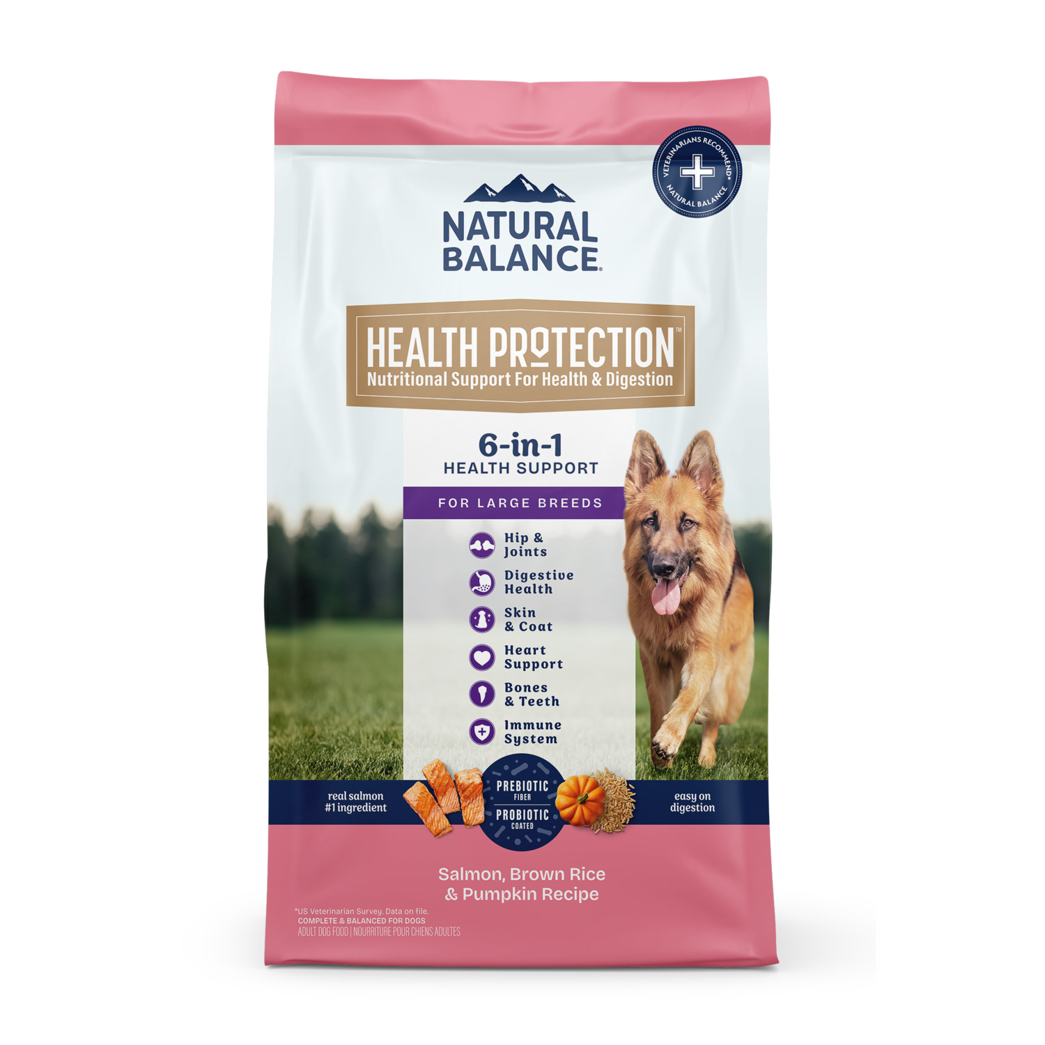 Natural Balance Health Protection Large Breed Dry Dog Food, Salmon & Rice Recipe, 26-Lbs.