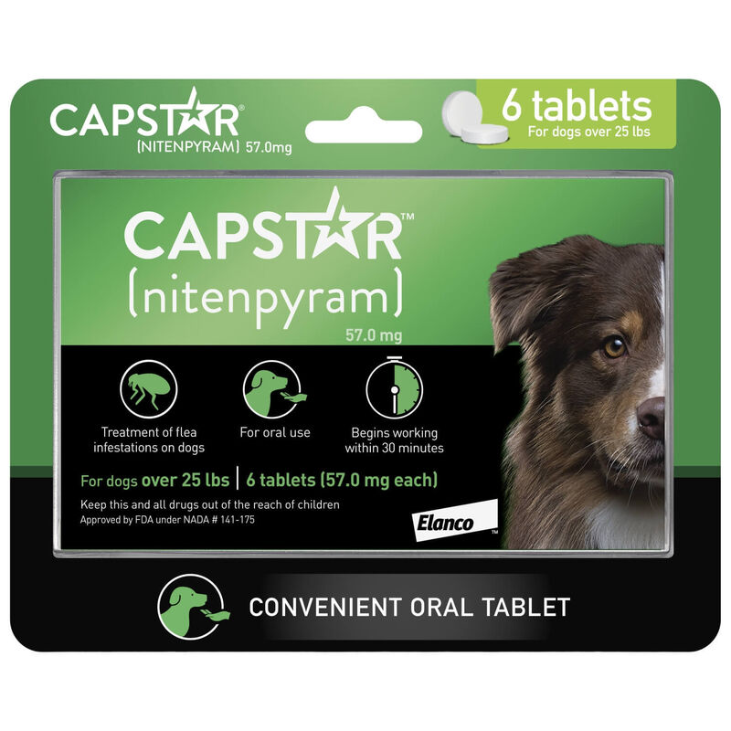 Capstar Flea Oral Treatment For Dogs, Over 25 Lbs