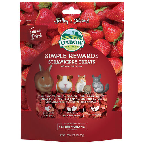 Simple Rewards Strawberry Treats For Small Animals