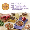 Wellness Petite Entrees Mini Filets Small Breed Wet Dog Food, Roasted Chicken, Beef, Carrots & Green Beans