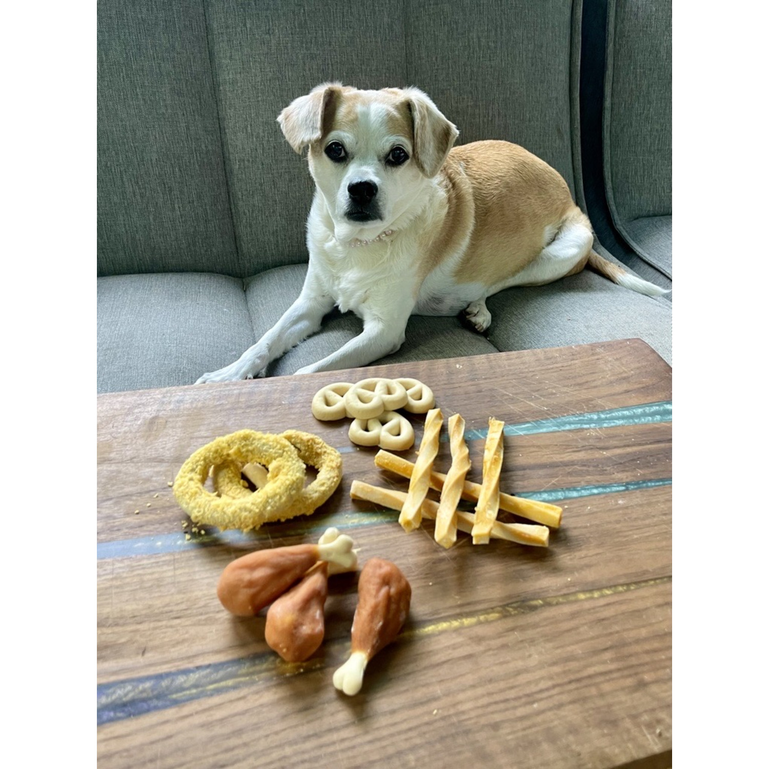 Spunky Pup Chew-Cuterie Dog Treats, Savory Snacker (Drumsticks, Pretzels, Rings, & Sticks)