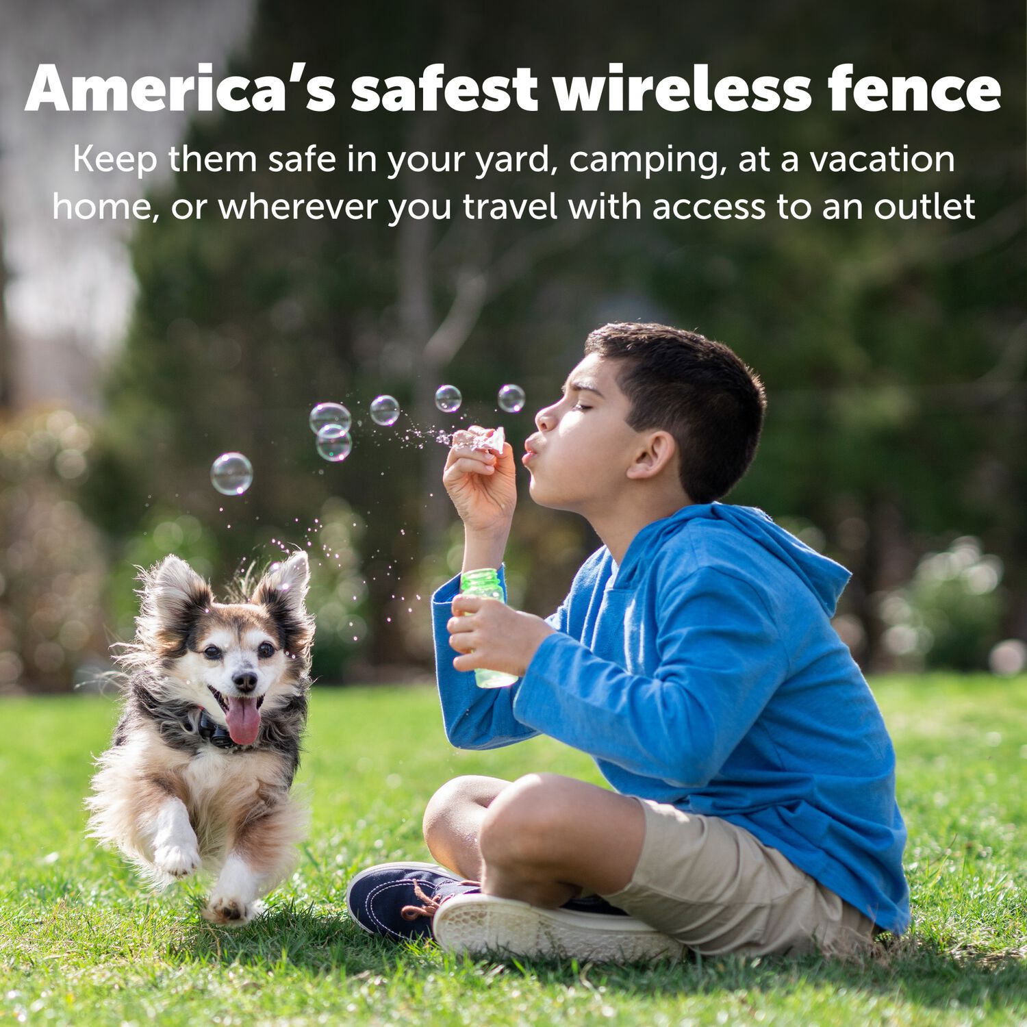 Petsafe Wireless Pet Containment System Receiver Collar