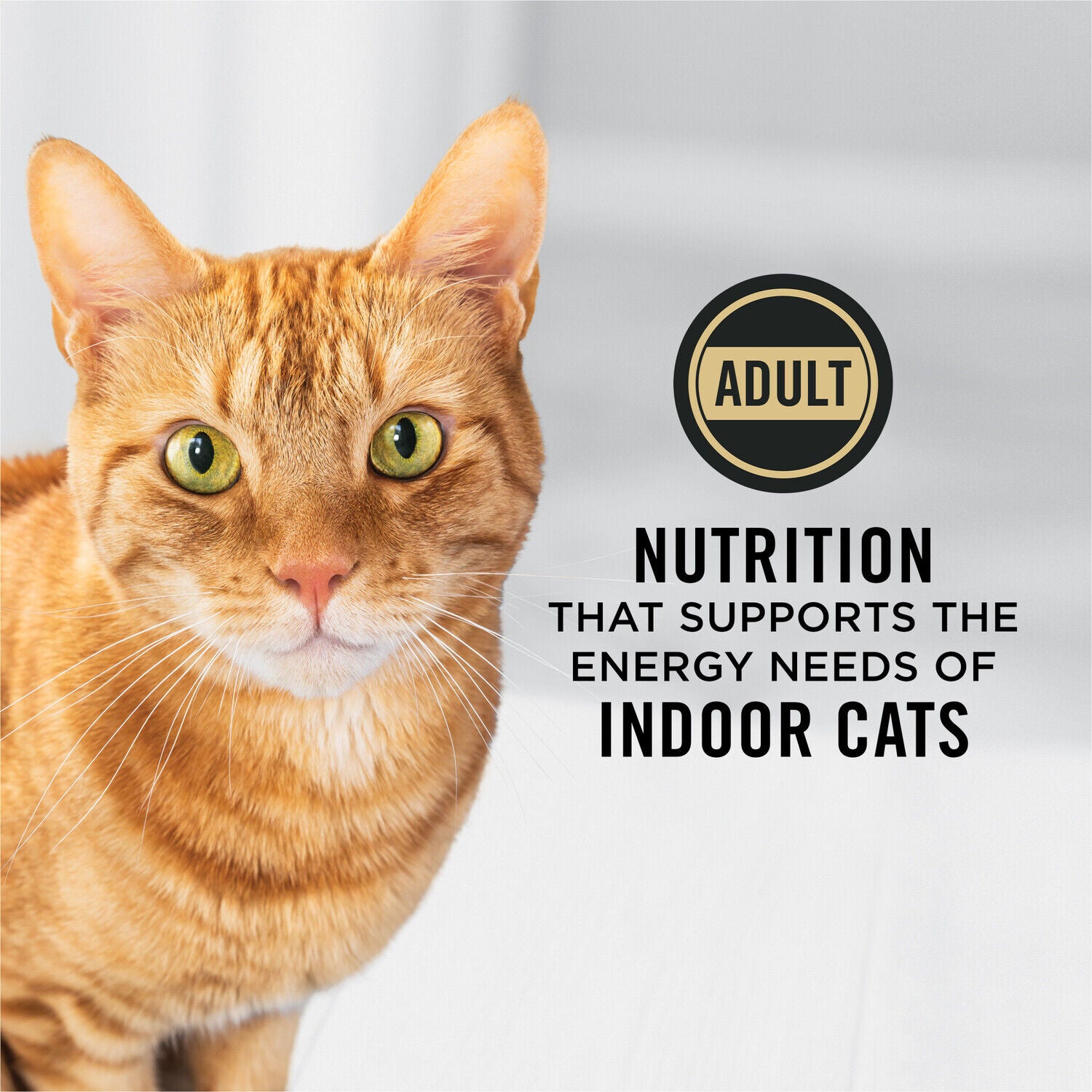 Purina Pro Plan Adult Dry Cat Food Indoor + Hairball Salmon & Rice Formula, 3.5 Lb. Bag