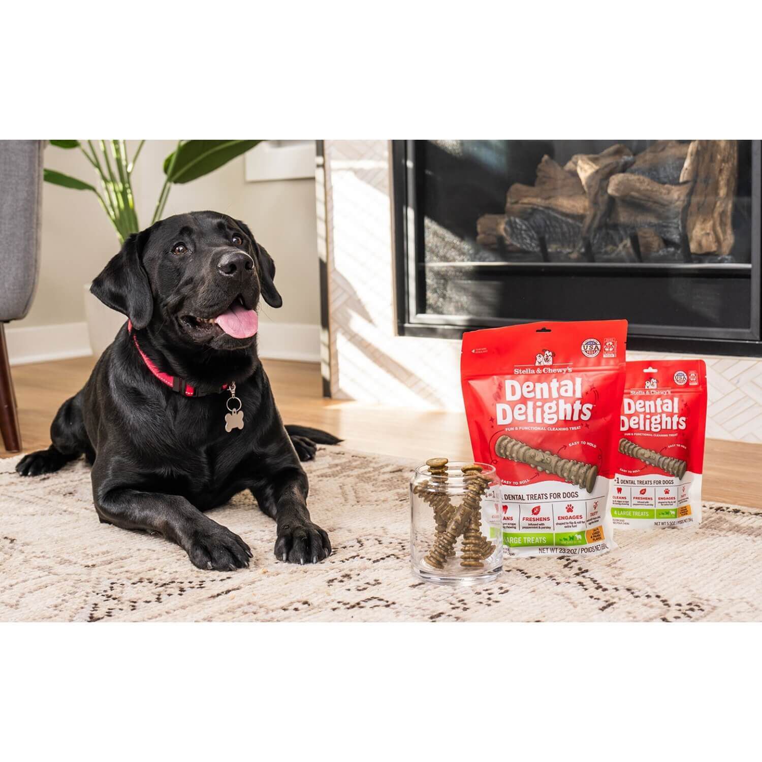 Stella & Chewy's Dental Delights Dog Treats, Large, 17 Count