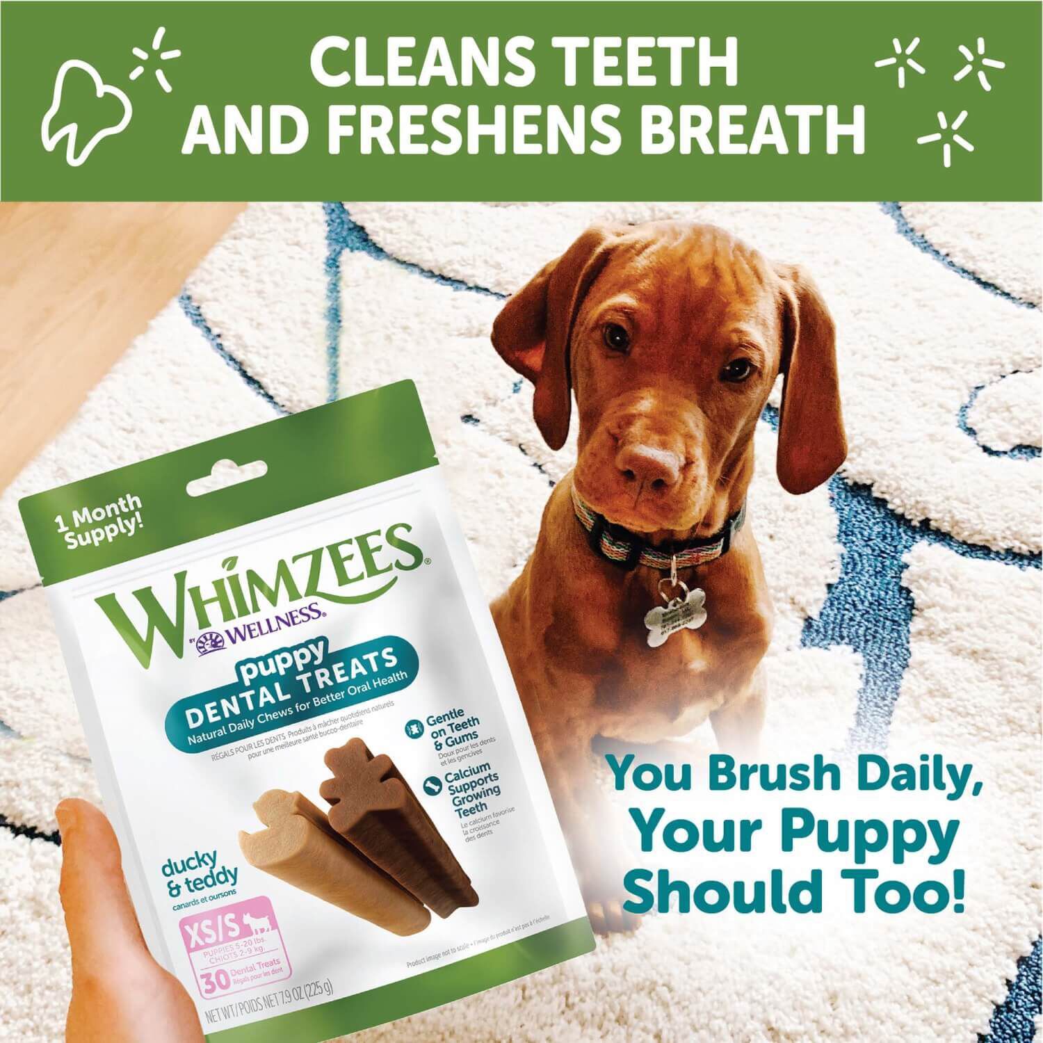 Whimzees natural grain deals free dental dog treats
