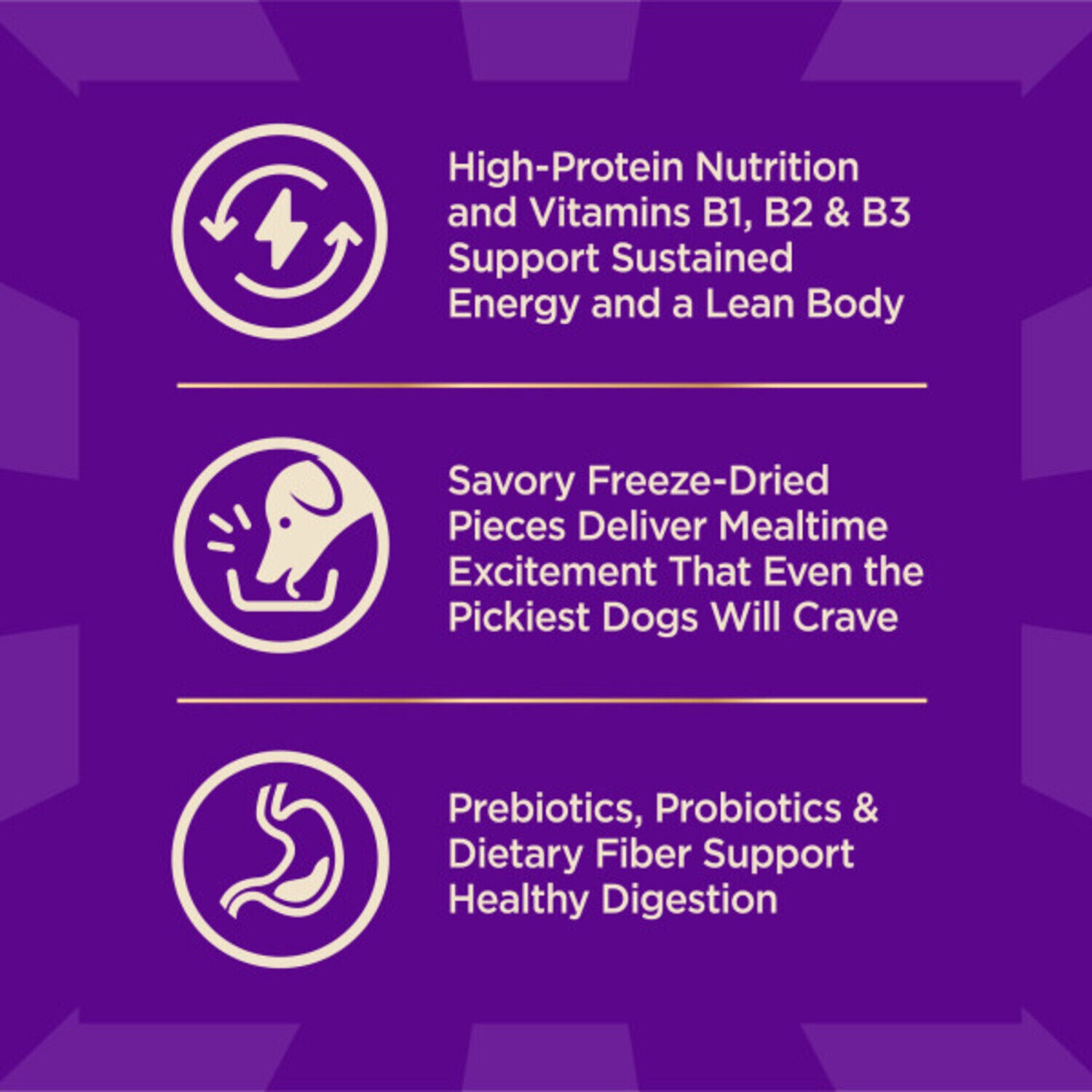 Wellness Core+ Dry Dog Food With Freeze-Dried Pieces, Wholesome Grains, High Protein, Natural Beef & Barley Recipe, 4-Lb