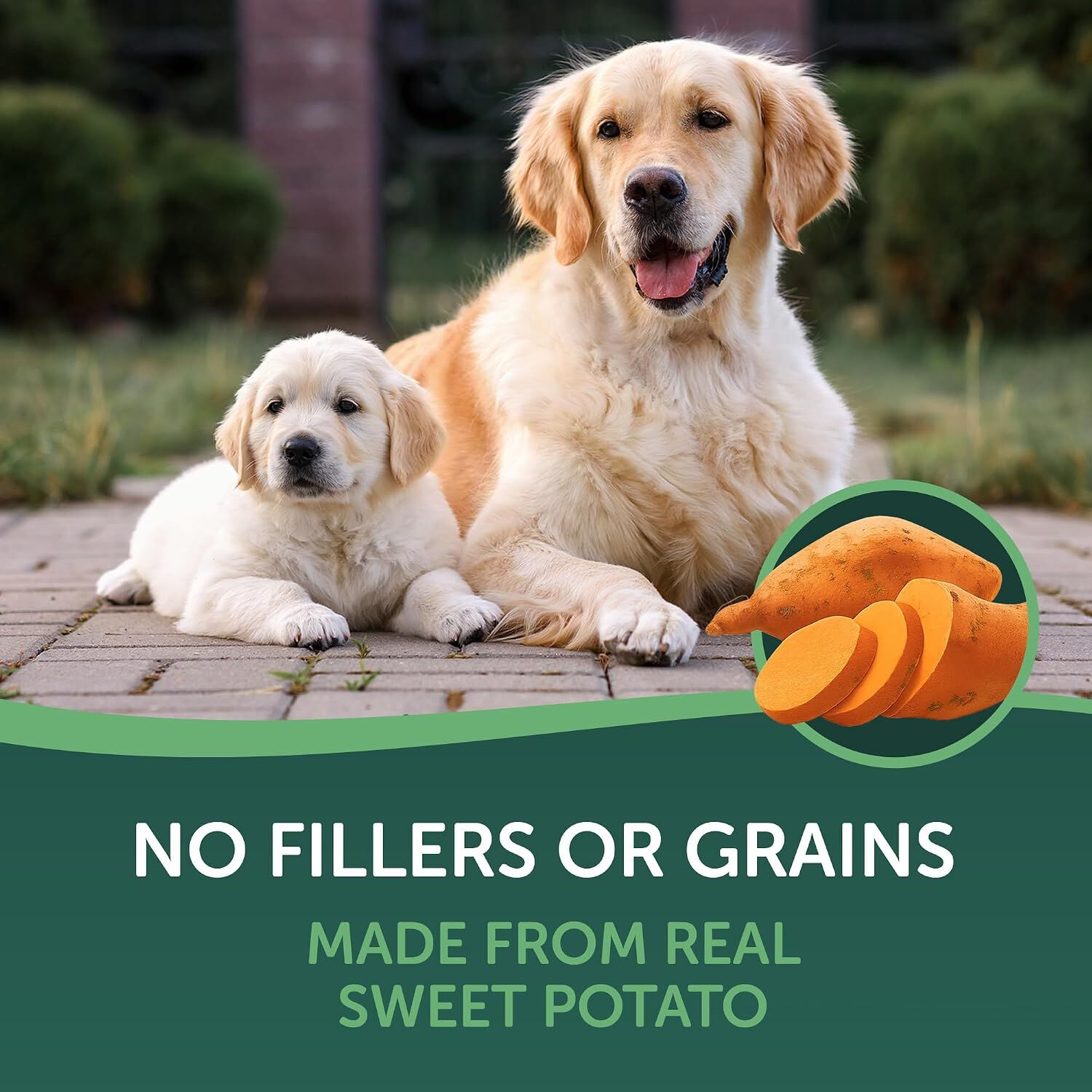 Healthfuls Sweet Potato Slices Natural Dog Treats, 1-Lb Bag