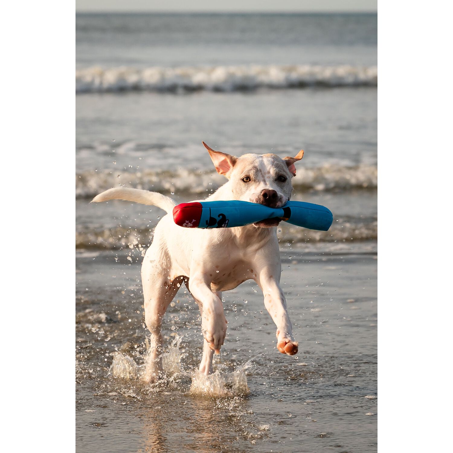 Guru Fry Guys Floats 'Billy' Plush Squeaky Dog Toy, 14"