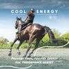 Manna Pro Cool Calories 100 For Horses