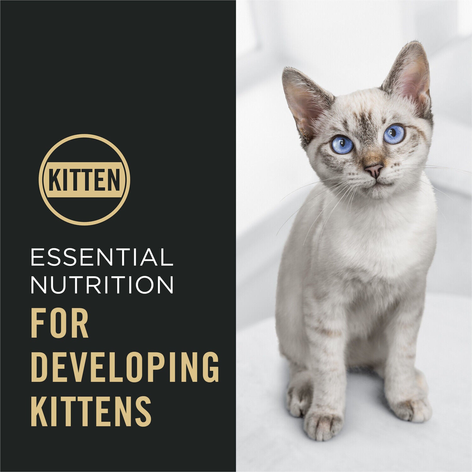 Purina Pro Plan Kitten Dry Food Complete Essentials Chicken And Rice Formula, 7 Lb. Bag