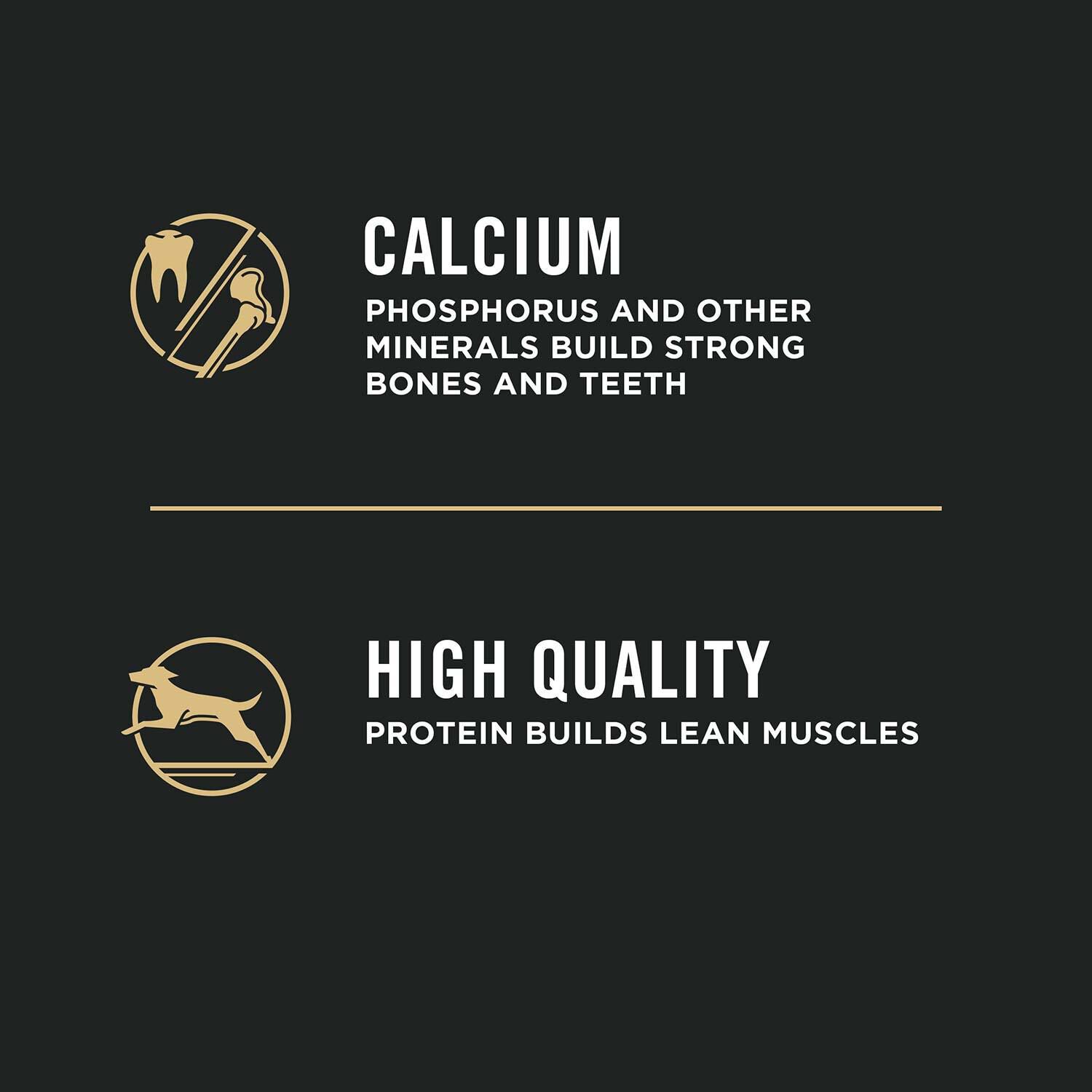 Purina Pro Plan Shredded Blend Chicken & Rice Puppy Formula Dry Dog Food