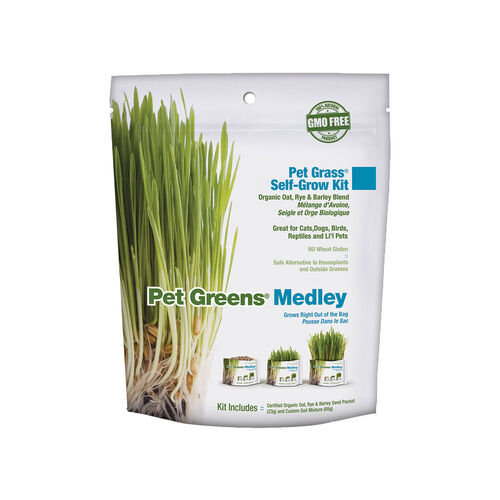 Pet Grass Self Grow Kit Medley