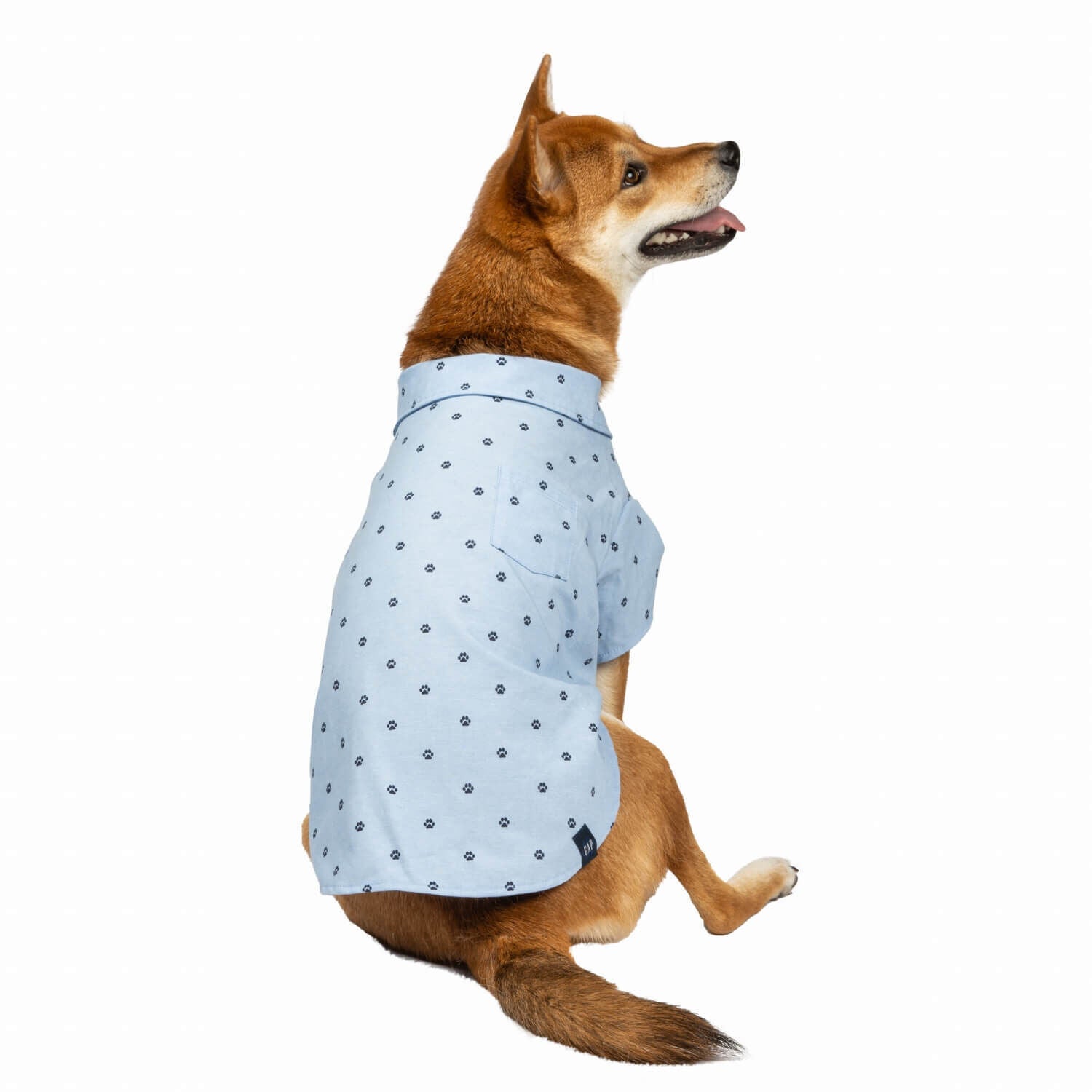 Gap Blue Chambray Pocket Dog Shirt