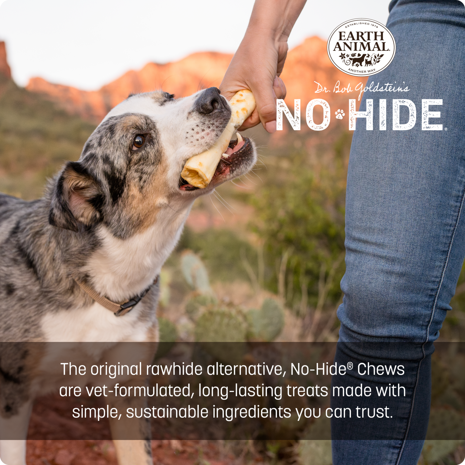 Earth Animal No-Hide Rawhide Alternative Dog Treat Chew, Peanut Butter, 2 Pack, 7"