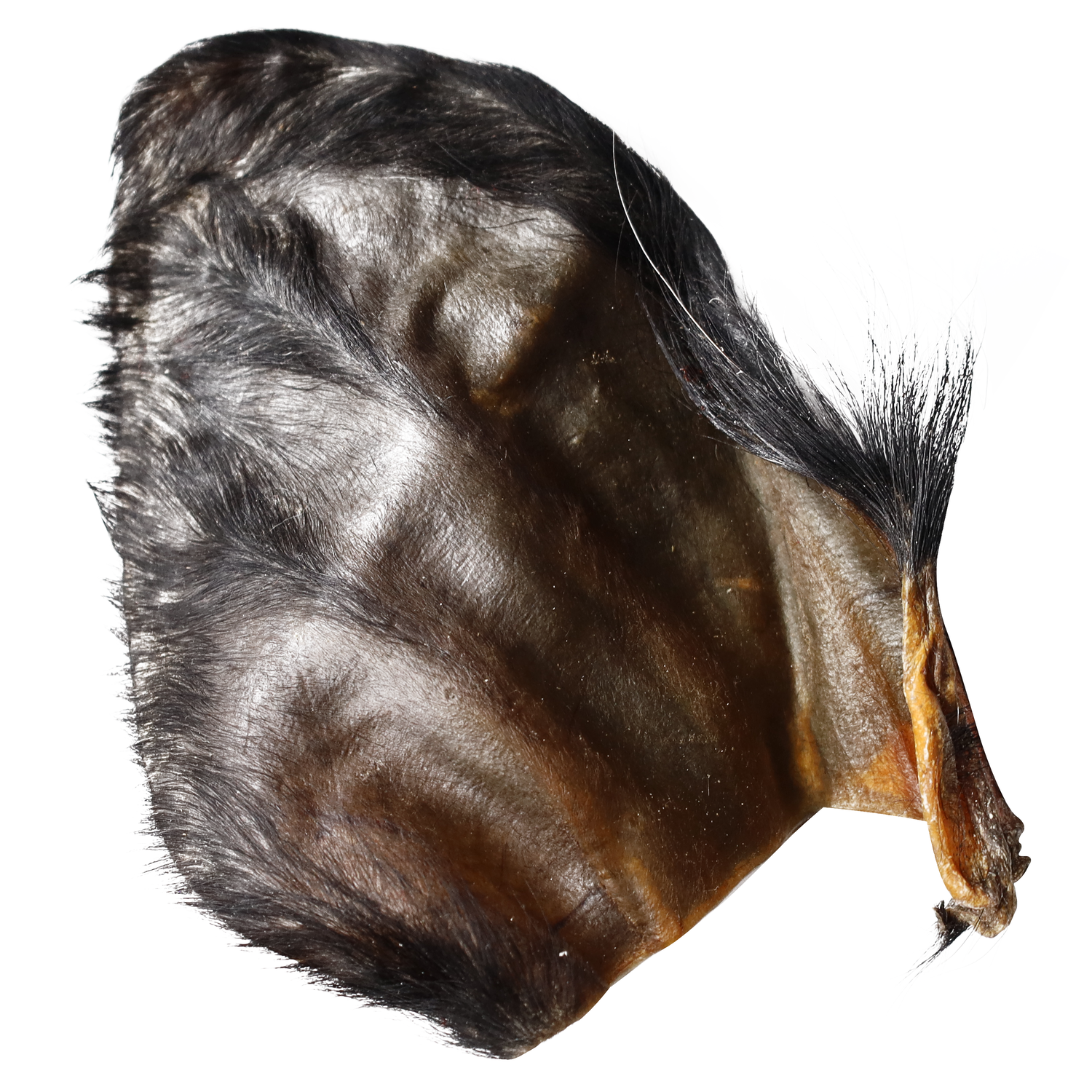 Qt Dog Water Buffalo Ear With Hair Natural Dog Treat, 1 Each