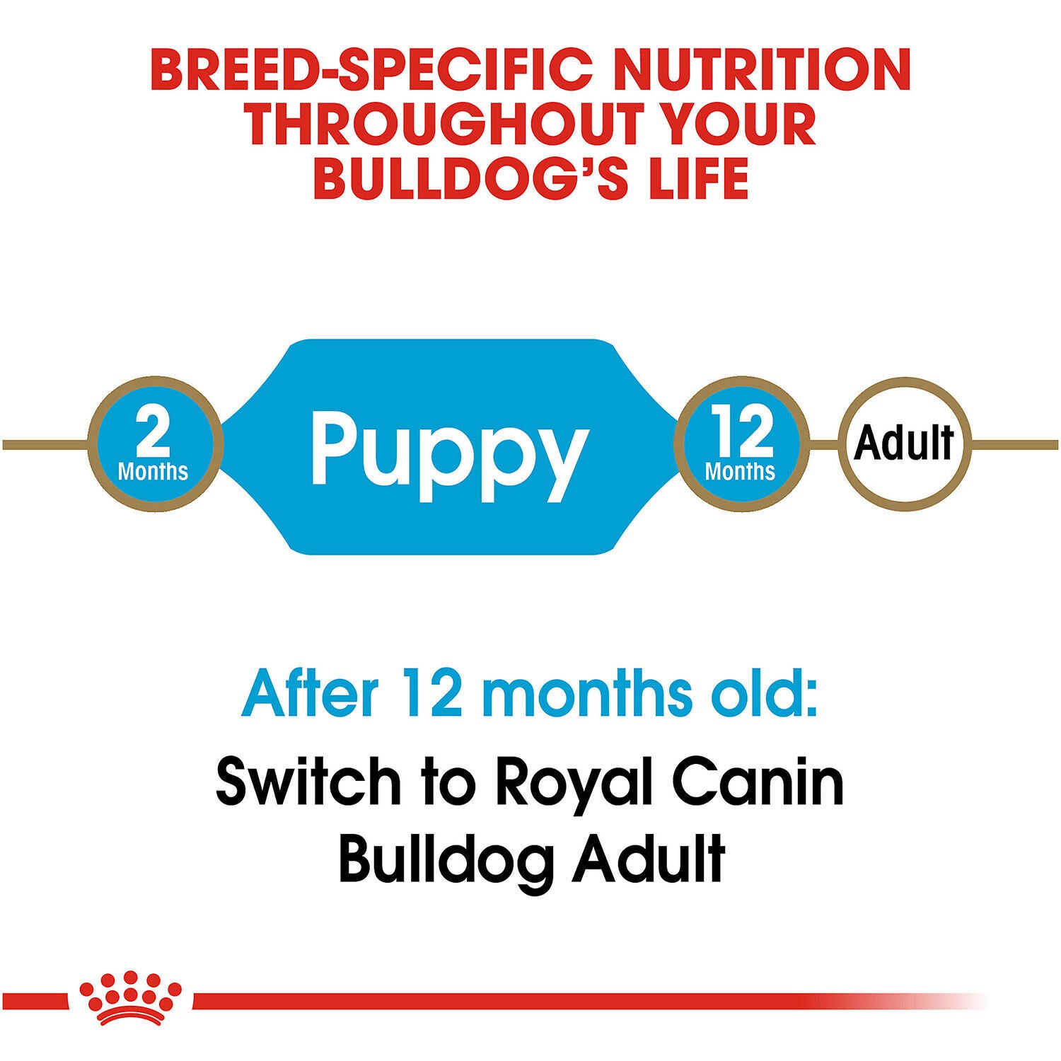Royal Canin Breed Health Nutrition Bulldog Puppy Dry Dog Food, 6Lb