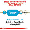 Royal Canin Breed Health Nutrition Bulldog Puppy Dry Dog Food, 6lb