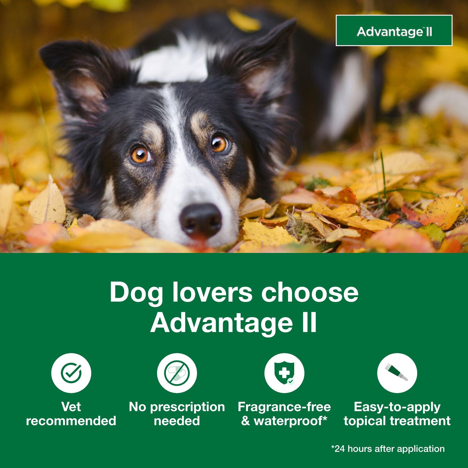 Advantage Ii Flea Treatment For Small Dogs, 3-10-Lbs, 6-Pack = 6 Months Of Protection