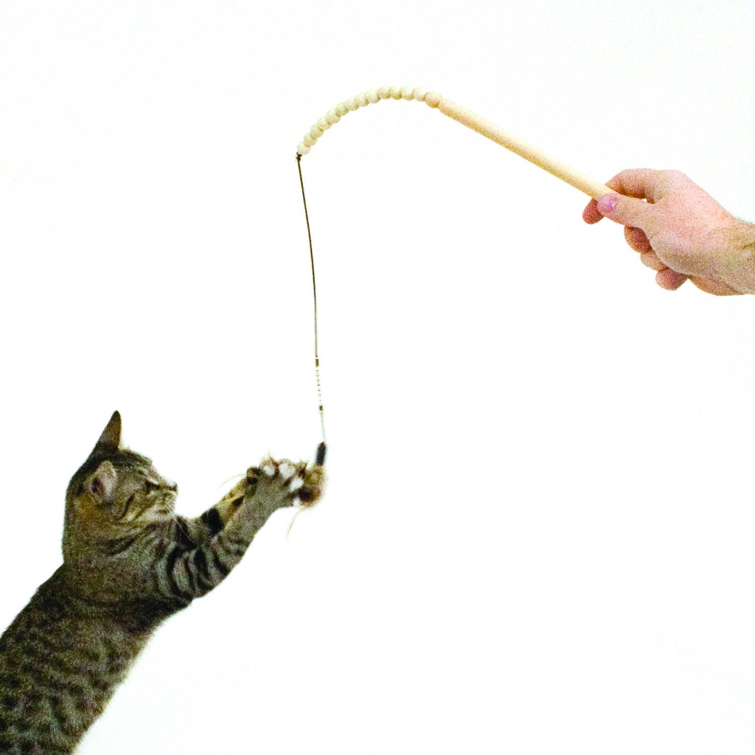 Ware Bead-N-Tease Interactive Cat Toy