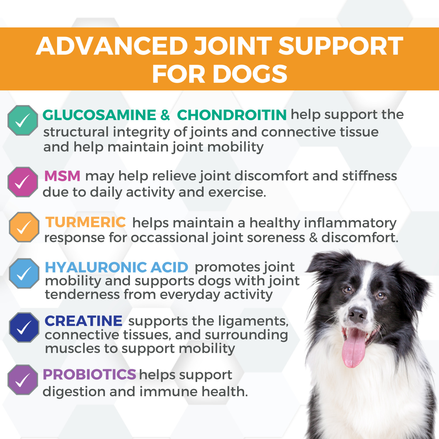 Progility Hip & Joint Soft Chew Supplement For Dogs, 90Ct