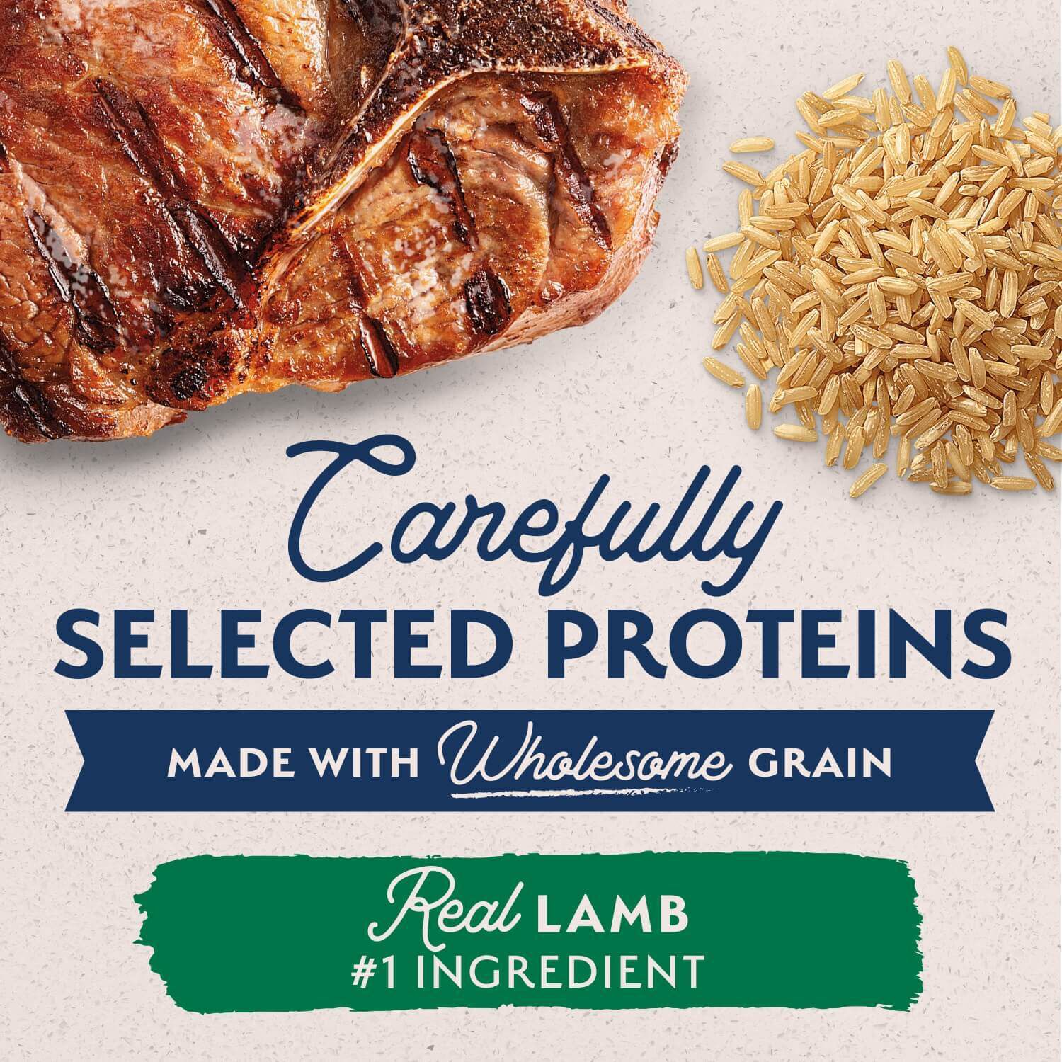Natural Balance Limited Ingredient Lamb & Brown Rice Recipe Adult Wet Dog Food