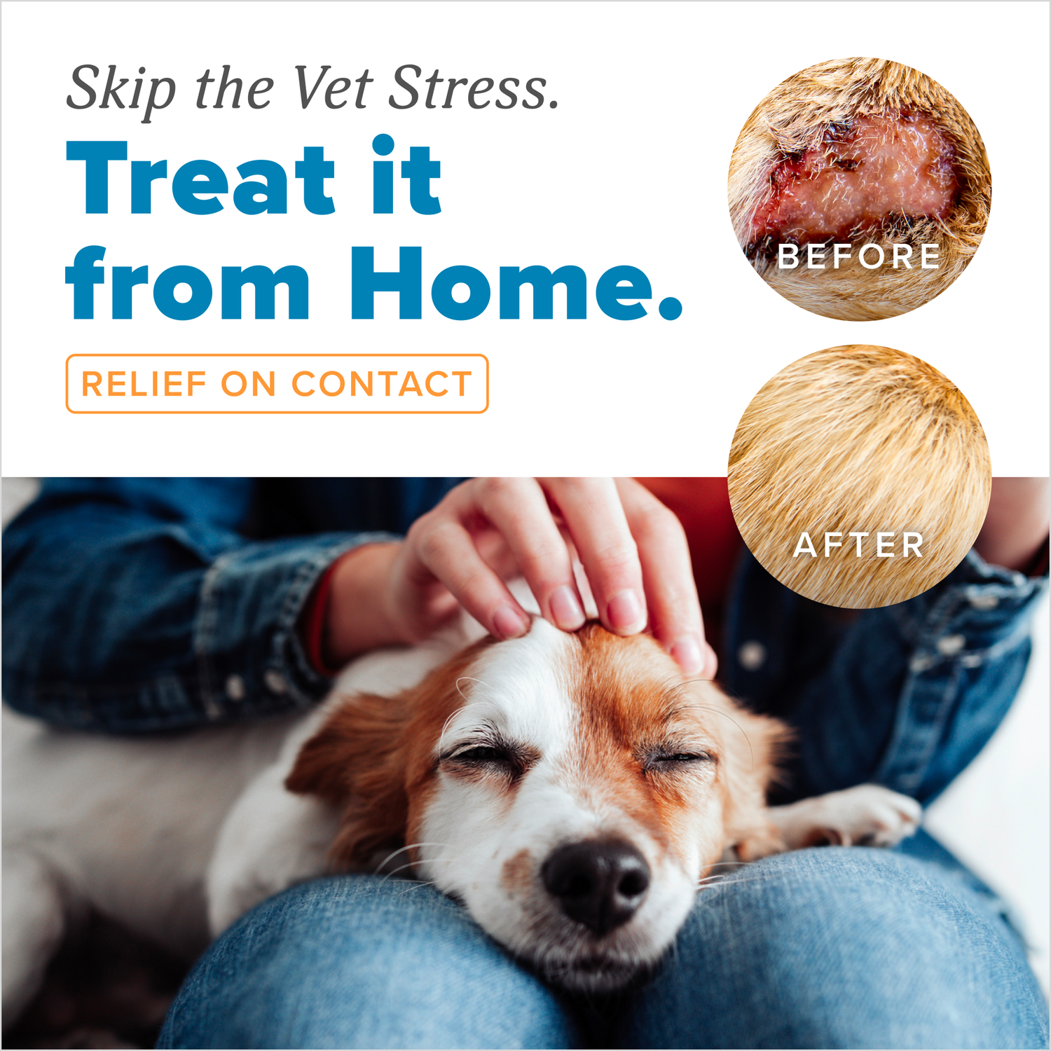 Tropiclean Homevet Medicated Hot Spot Cream For Dogs, Fast Itch Relief With Vet Strength Chlorhexidine & Hydrocortisone, 1-Oz Tube