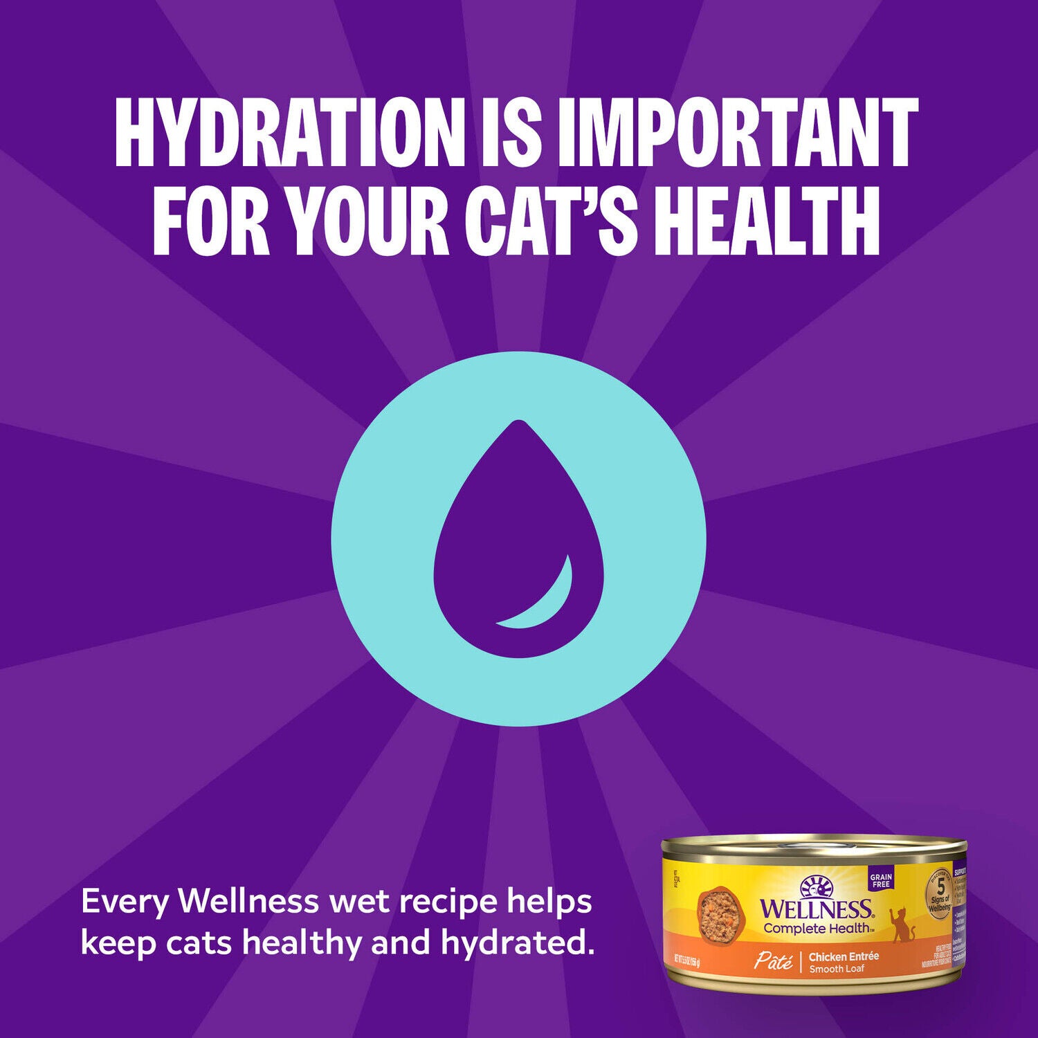 Wellness Complete Health Pate Adult Wet Cat Food, Natural, Protein-Rich, Grain-Free, 3-Ounce , 12-Pack, Seafood Variety Pack