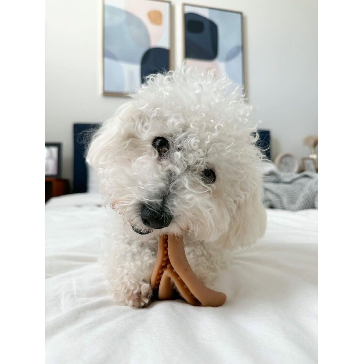 Tall Tails Antler Bacon Scented Dog Chew Toy, 7" - Large
