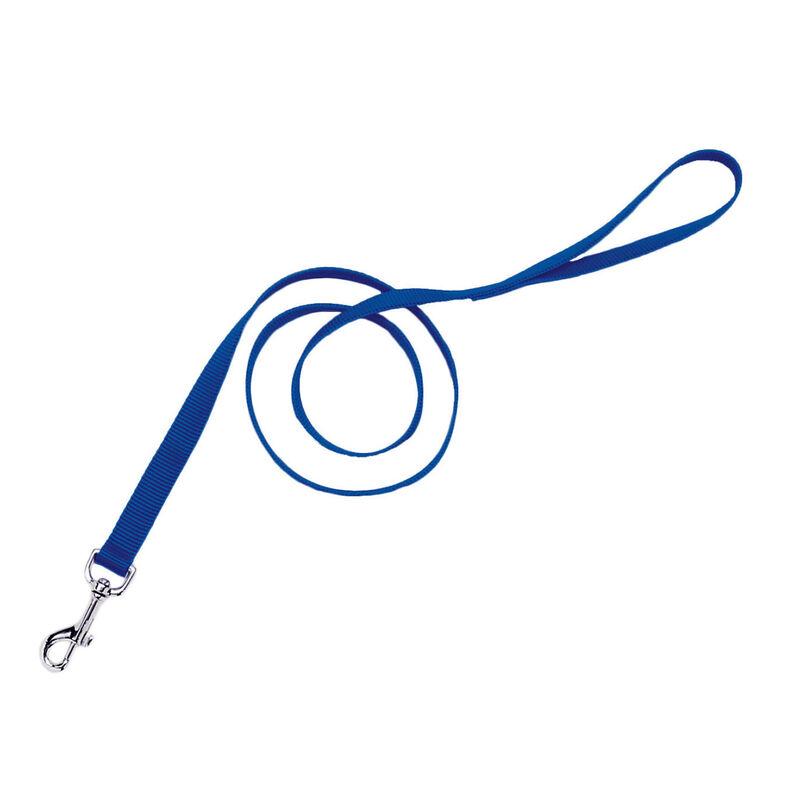 Single Ply Nylon Dog Leash 1" - Blue image number 1