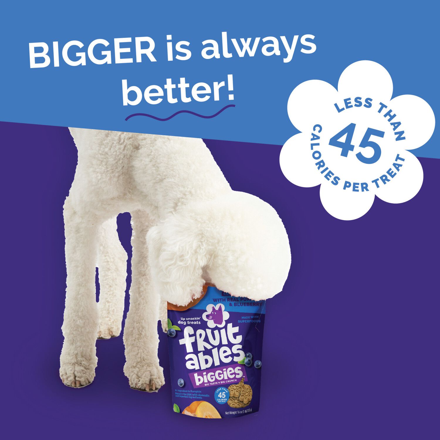 Fruitables Biggies Crunchy Biscuit Dog Treats, Pumpkin & Blueberry, 16-Oz