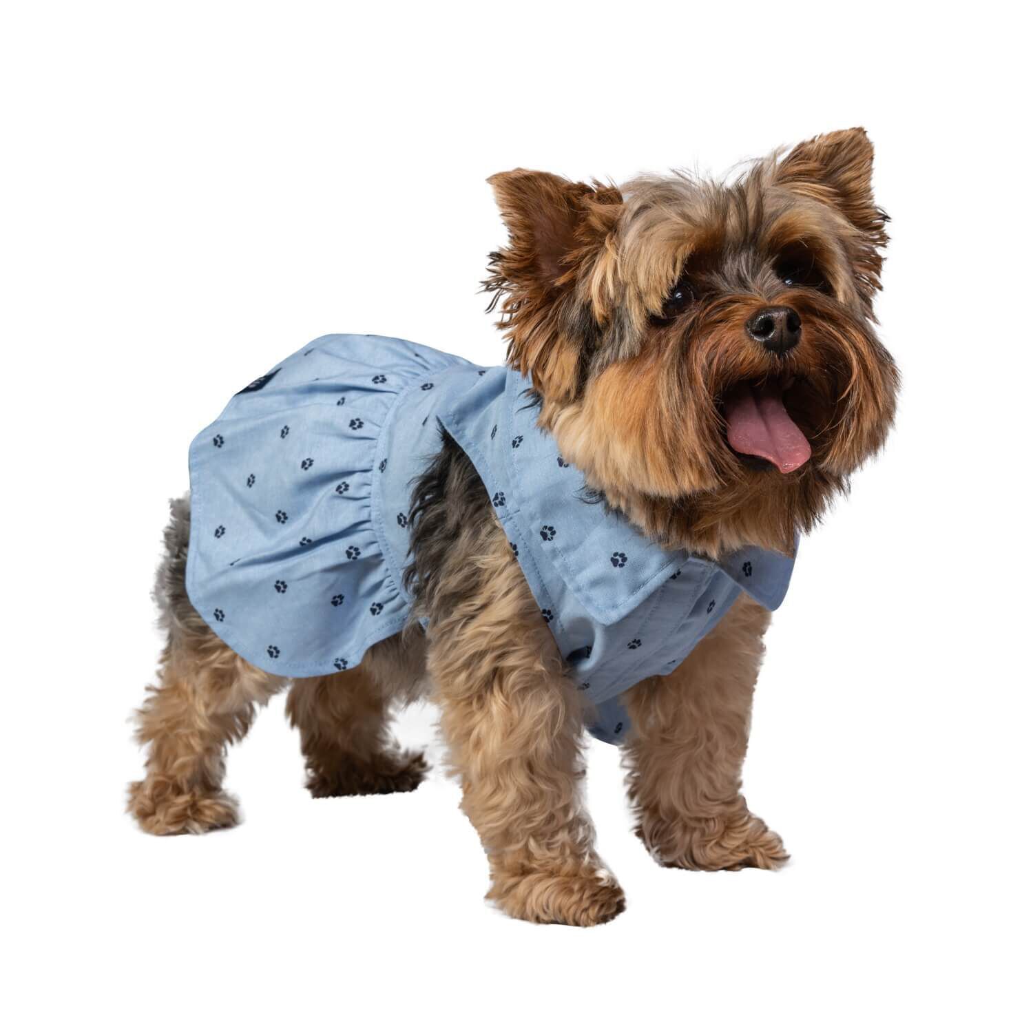 Gap Home Dog Cat Clothes Chambray Paw Print Gap Dog Dress Blue S Each