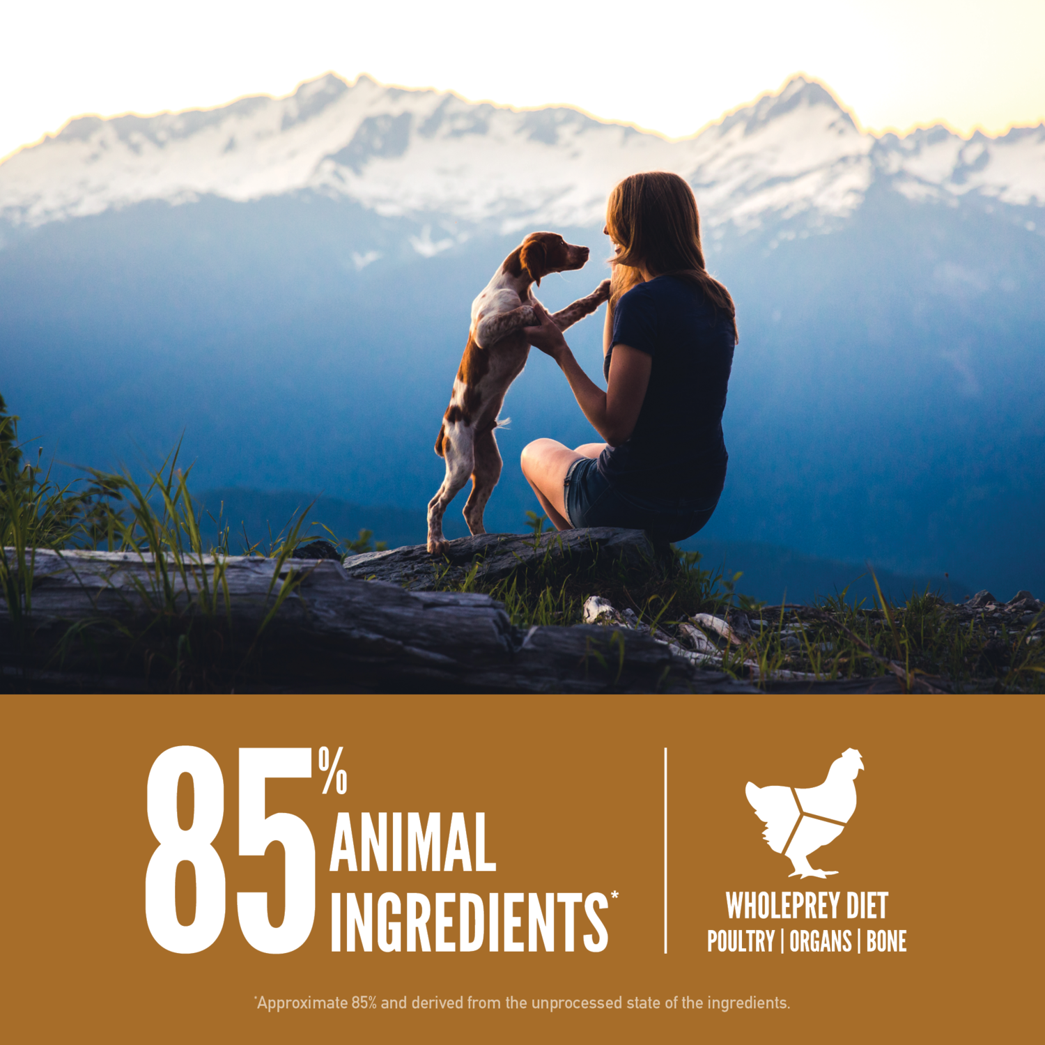 Orijen Puppy Grain-Free High-Protein Dry Dog Food, 23.5-Lb Bag