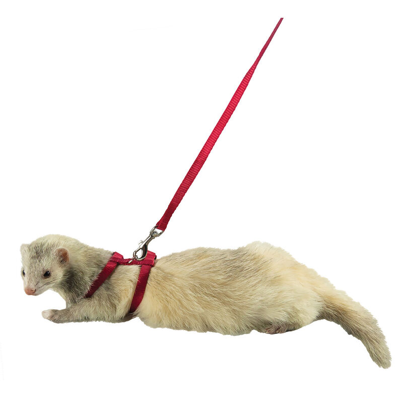 Harness & Lead, Red For Small Animals image number 1