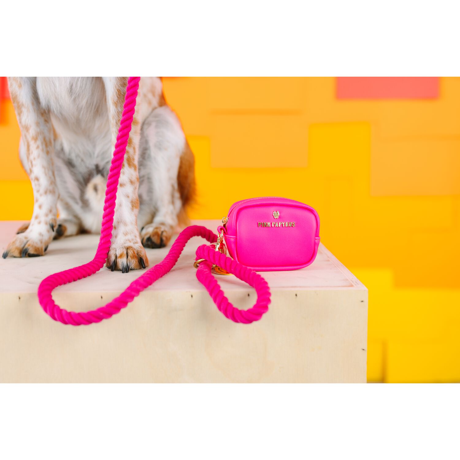 Pink Papyrus Cleo Dog Poop Bag Holder & Treat Pouch Leash Accessory, Pink
