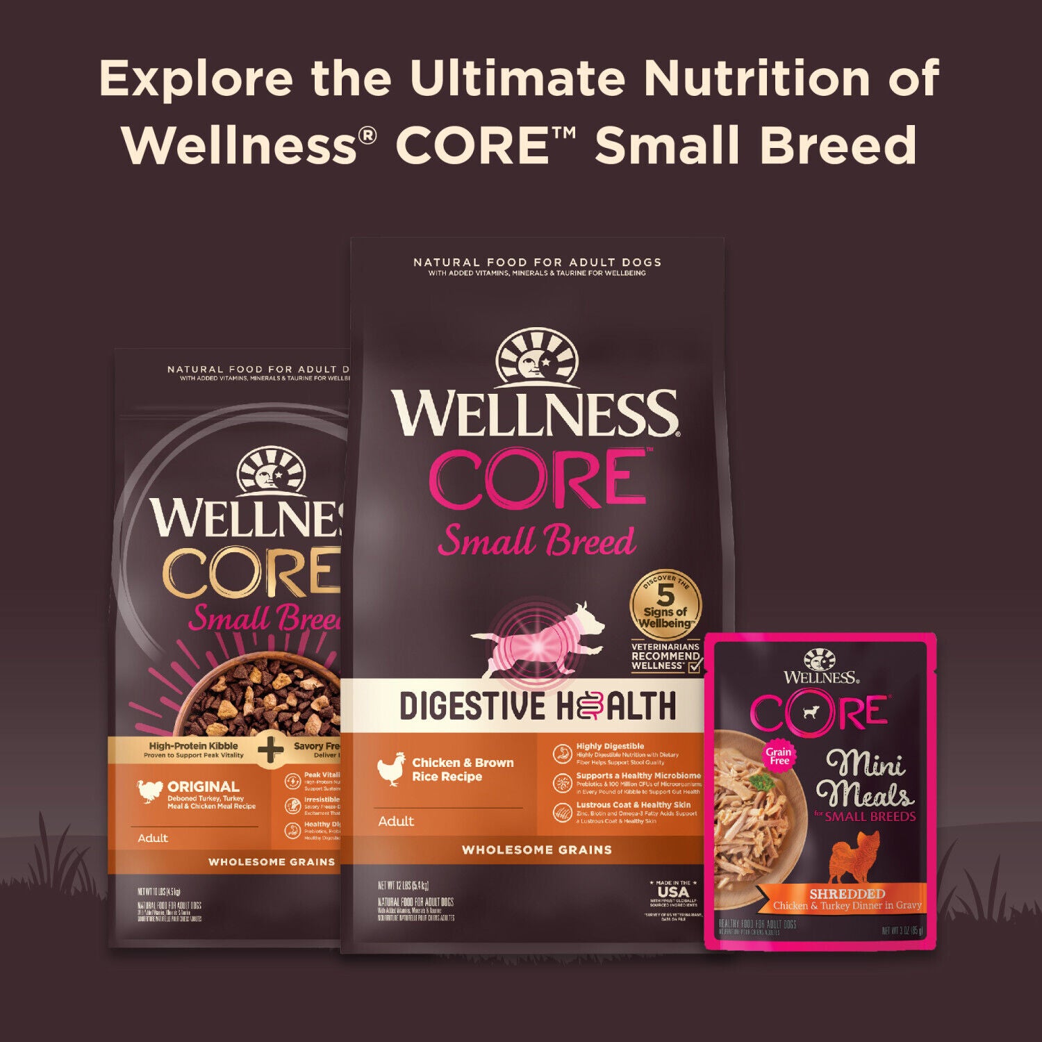 Wellness Core Natural Grain Free Small Breed Mini Meals Wet Dog Food, Shredded Chicken & Lamb Entr&eacute;e In Gravy, 3-Ounce Pouch